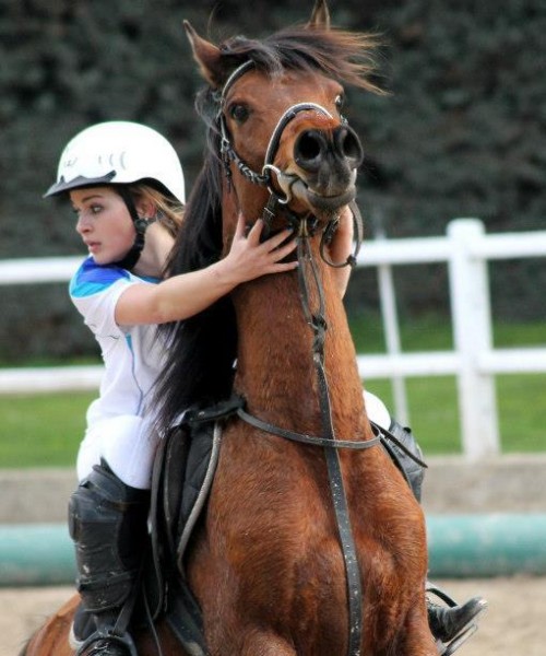 Photo de profil de lulu34120