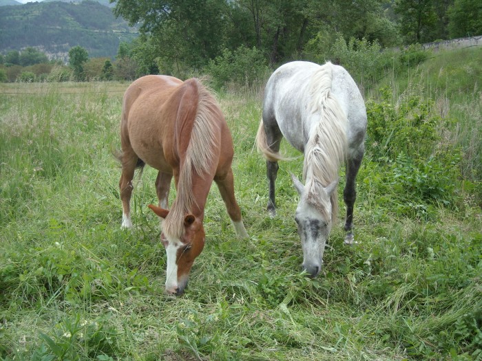 Photo de profil de cirrus