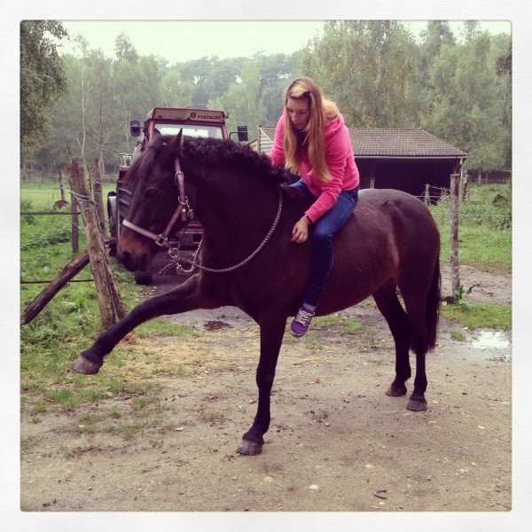 Photo de profil de happyvalley