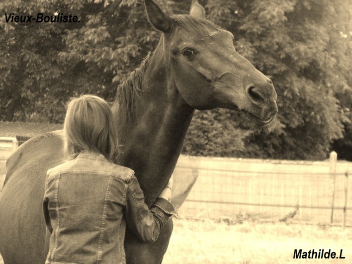 Photo de profil de mathildevegan