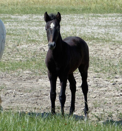 Photo de profil de baela12_