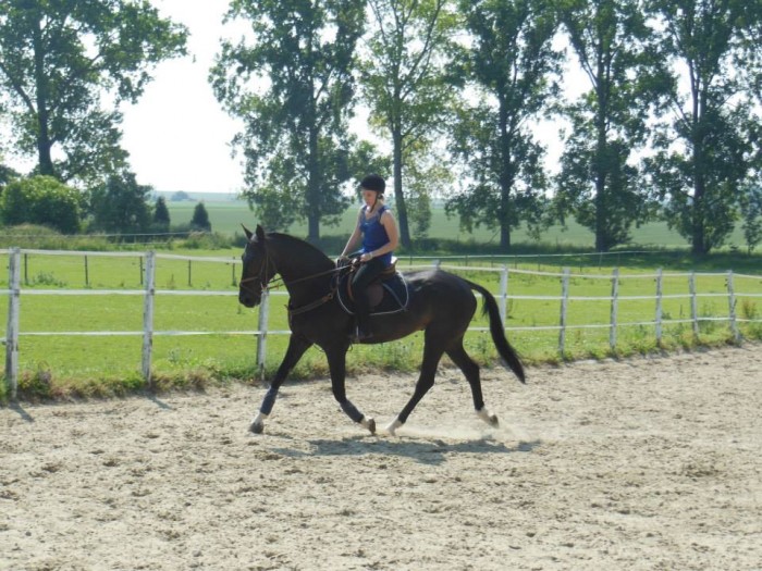 Photo de profil de aaddrr