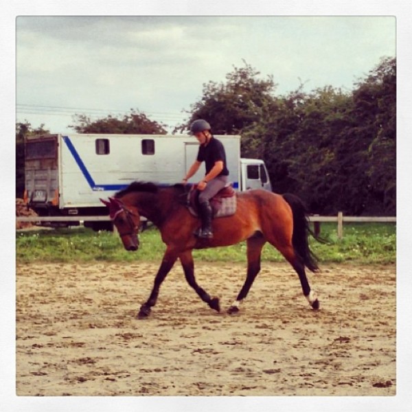 Photo de profil de jasondhont