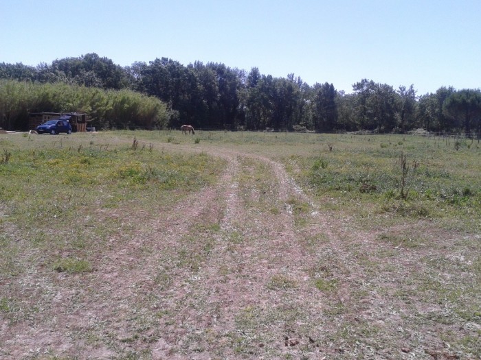 Photo de profil de giana