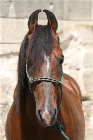 Photo de profil de ofelia549