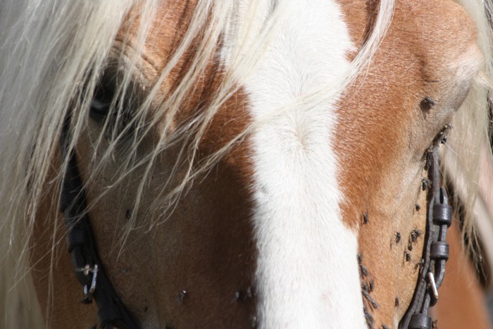 Photo de profil de mambolittle73