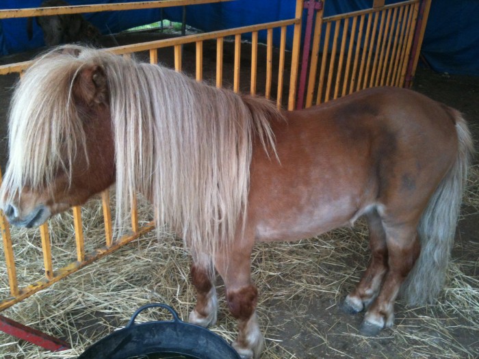 Photo de profil de urban76