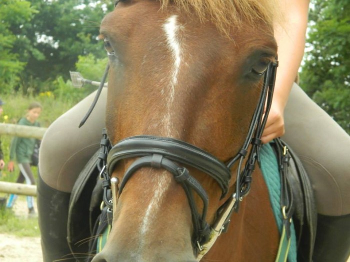 Photo de profil de kponey