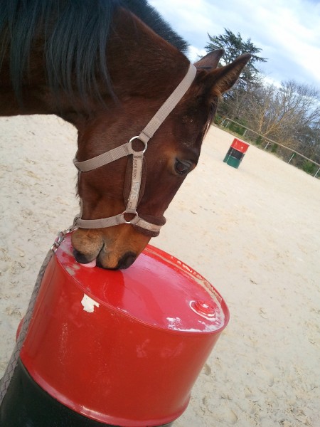 Photo de profil de tacha69