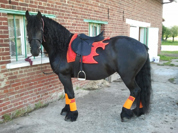 Photo de profil de brestan62