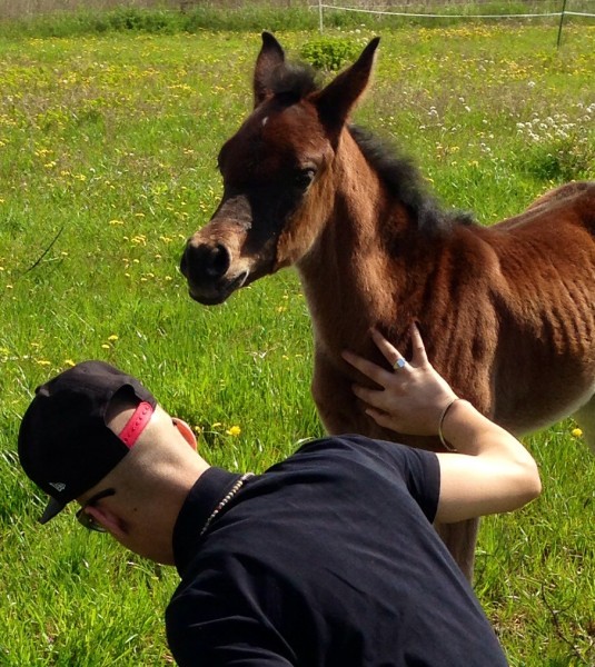 Photo de profil de neverlandar