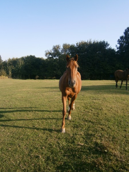 Photo de profil de lolipopsy