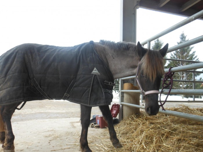 Photo de profil de sybel73