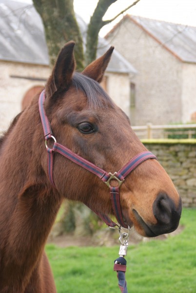 Photo de profil de florencelhoiry