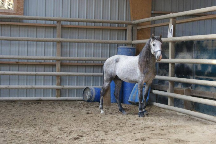 Photo de profil de weltevreden