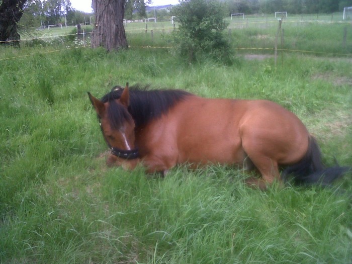 Photo de profil de pinsmavie