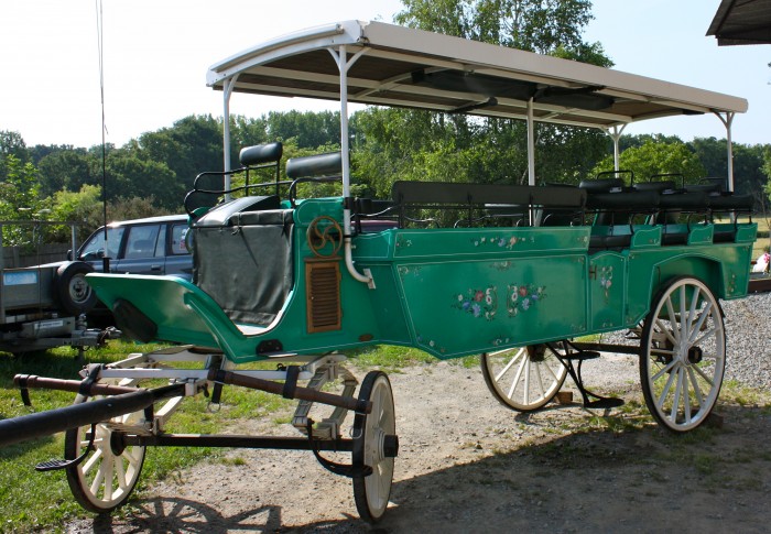 Photo de profil de druide