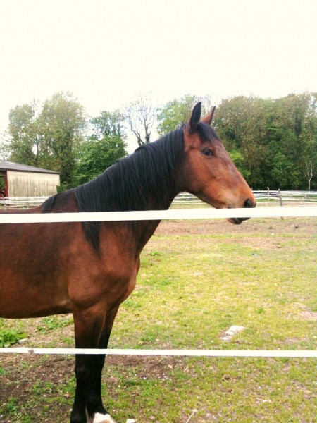 Photo de profil de urana