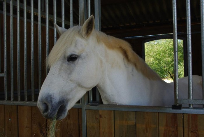 Photo de profil de luluouragan12