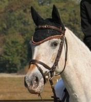 Photo de profil de rumbaly