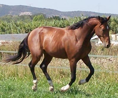 Photo de profil de aurorb
