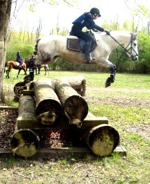 Photo de profil de irisabsolut