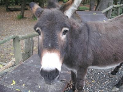 Photo de profil de nutnut