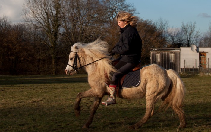 Photo de profil de daphnemarbaix