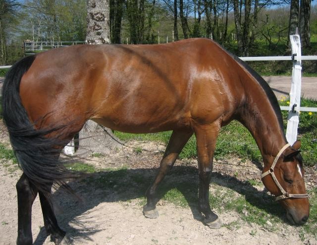 Photo de profil de lovelesgrilles