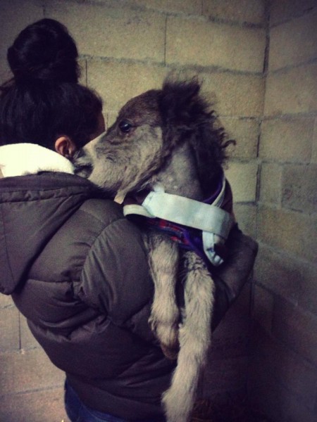 Photo de profil de laurapouget