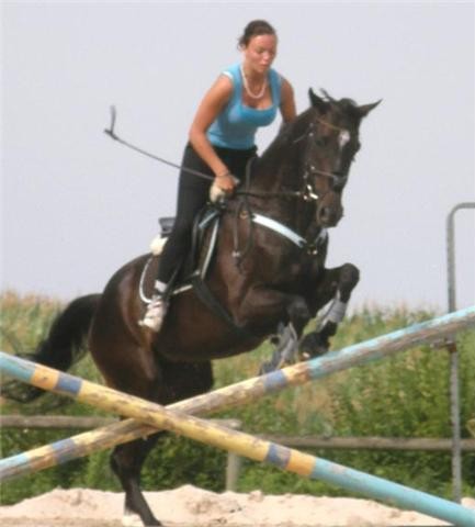 Photo de profil de soan77