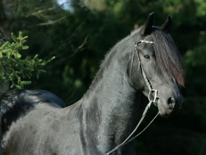 Photo de profil de lilouetfilou
