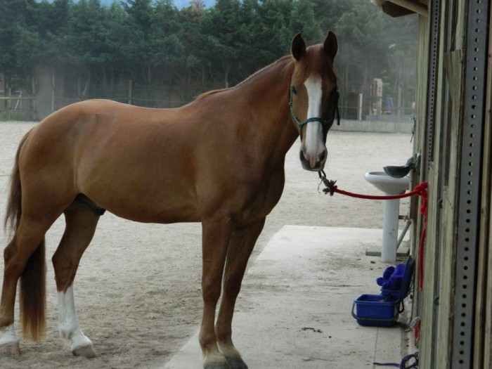 Photo de profil de debo78