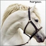 Photo de profil de margauxdu56