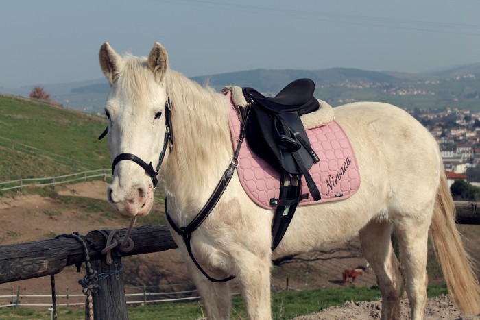 Photo de profil de morganenirvana