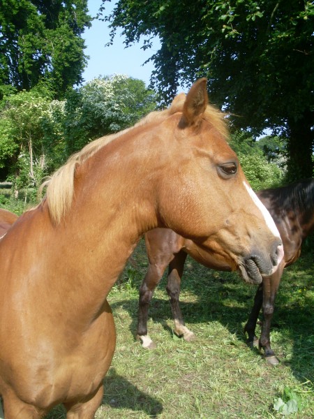 Photo de profil de liline18
