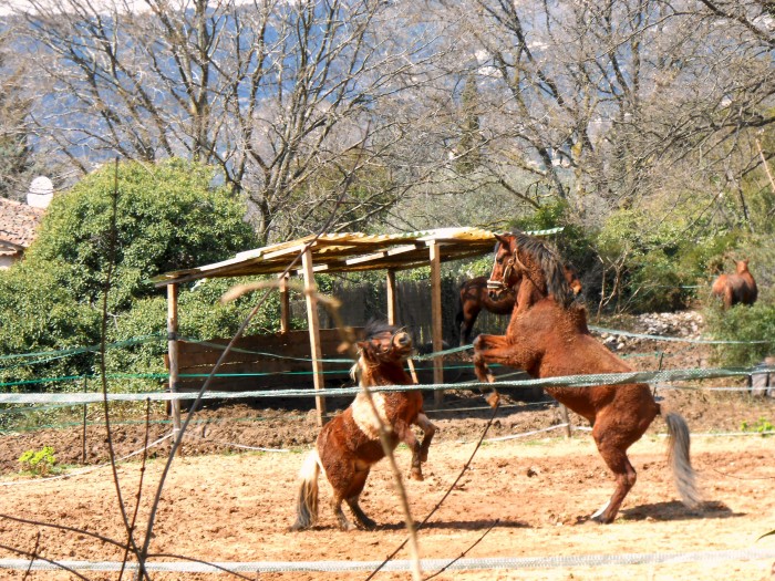 Photo de profil de queeniz