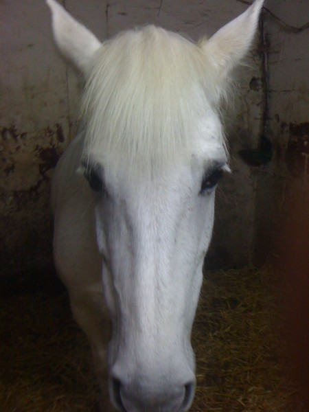 Photo de profil de supernul313