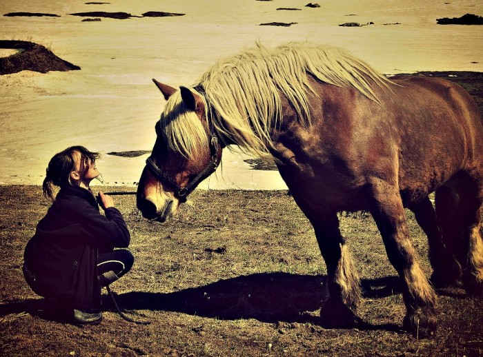 Photo de profil de manapo