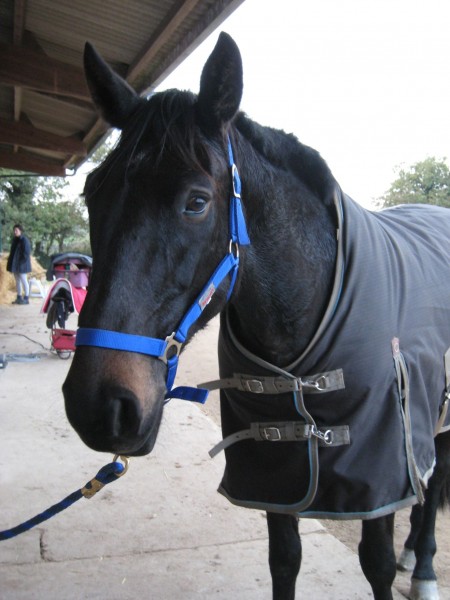 Photo de profil de kitane