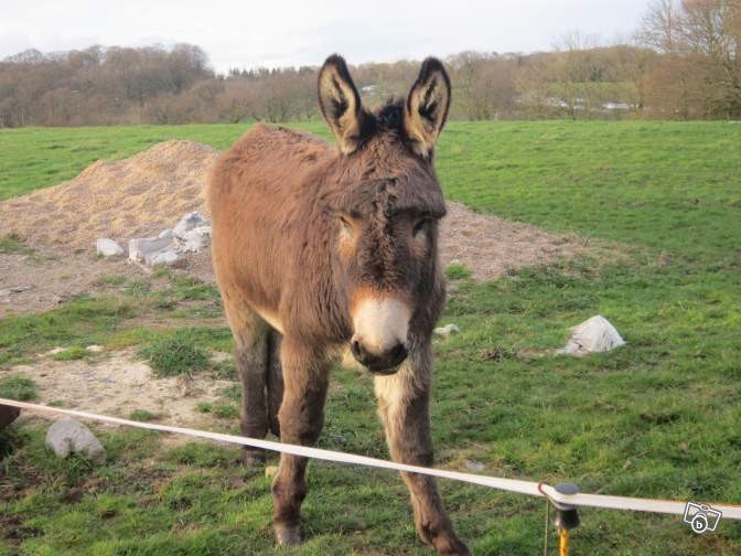 Photo de profil de aneducotentin