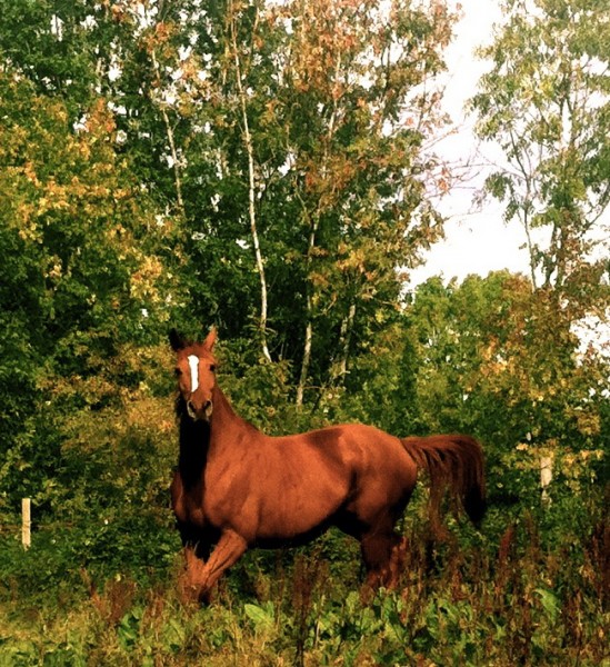 Photo de profil de bcmc