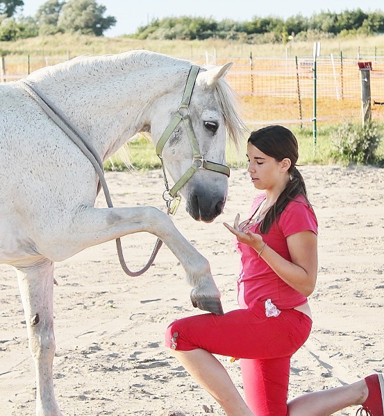 Photo de profil de crakclem