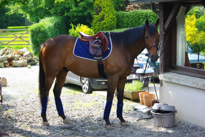 Photo de profil de mellechloe