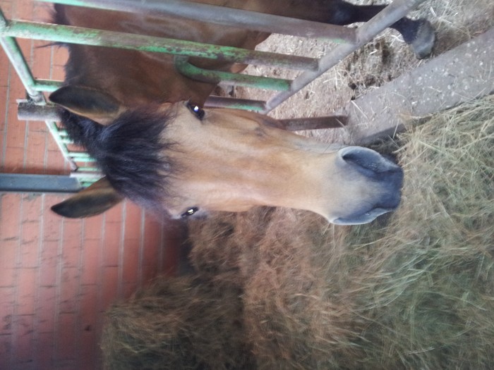 Photo de profil de stephanie31240