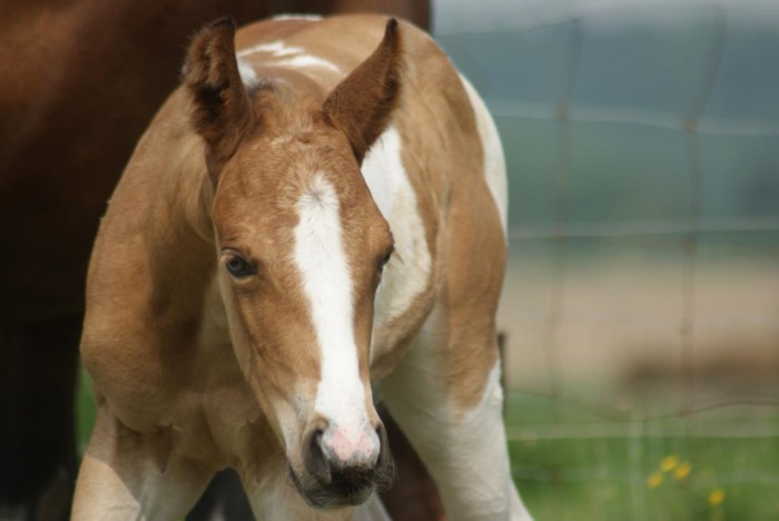 Photo de profil de jasfred04