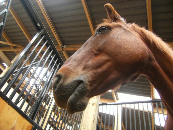 Photo de profil de laure59243