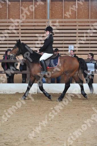 Photo de profil de shel