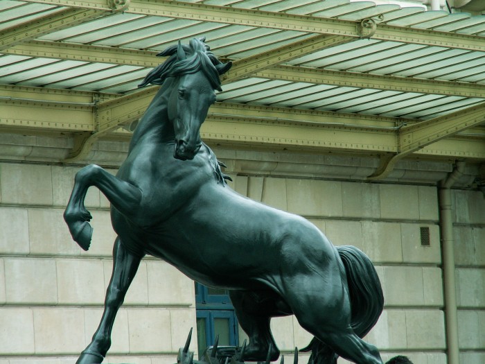 Photo de profil de fandefrison31