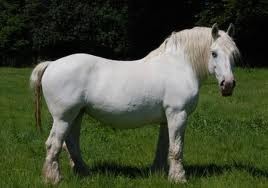 Photo de profil de excellent